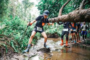 BIB: 
                            <button type="button" onclick="openModal(25375744)" class="btn btn-primary btn-sm float-right btn-popup" data-toggle="modal" data-target=".modal-high-quality">
                        <i class="fas fa-shopping-cart"></i> Add to Cart
                    </button>
                                            <button type="button" onclick="isThisMe(25375744, true)" class="btn btn-success btn-sm float-right btn-popup btn-isme hidden" data-toggle="tooltip" data-placement="bottom" title="นี่คือรูปของคุณใช่ไหม คลิกที่นี่เพื่อเอาเข้าอัลบั้ม">
                        <i class="fas fa-plus"></i> Add to album
                    </button>
                    <button type="button" onclick="isThisMe(25375744, false)" class="btn btn-warning btn-sm float-right btn-popup btn-isnotme hidden">
                        <i class="fas fa-ban"></i> Remove from album
                    </button>